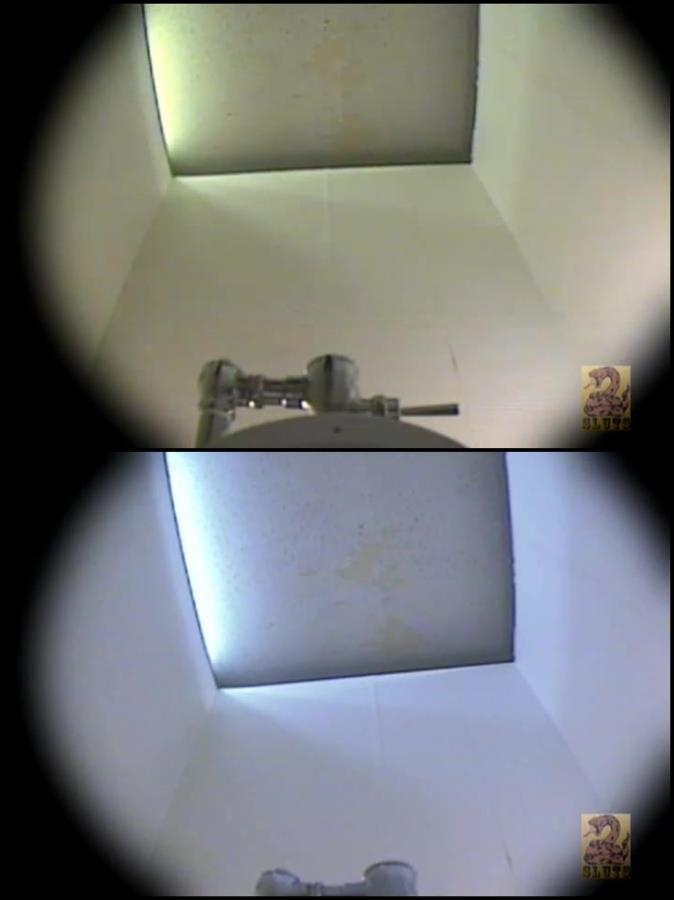 Toilet Defecation うんこフルショット　４カメ３マルチアングル　６　素人女編 - SLUF006 (SD 720x480)