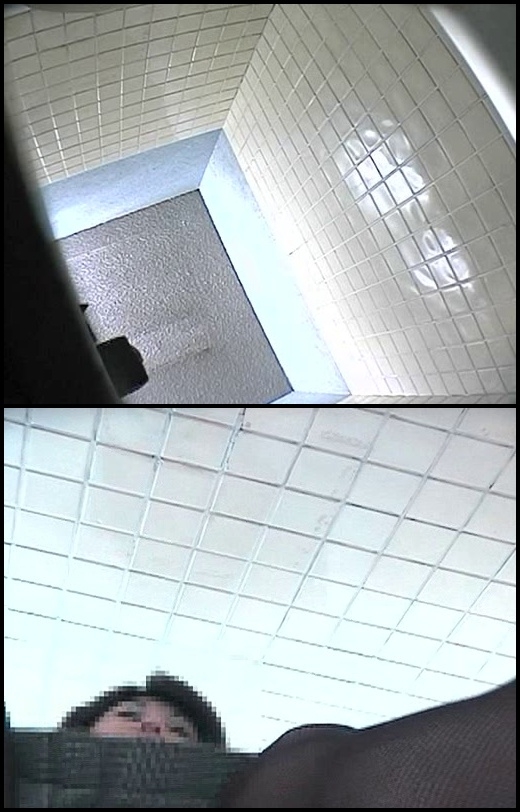 トイレットスカート 排便 スパイカメラ シッティング Toilet Defecation - BFJT-106 (SD 512x400)