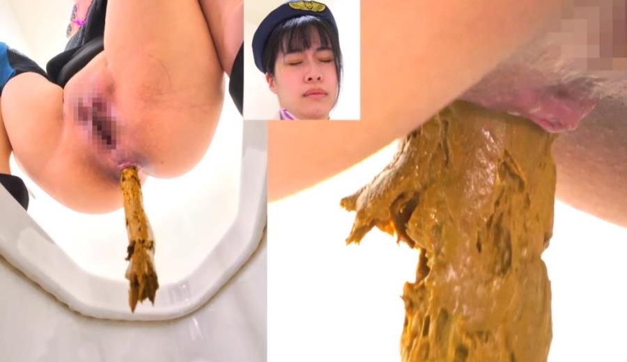 Long Shit on Western and Japanese Style Toilets - BFEE-301 (FullHD 1920x1080)