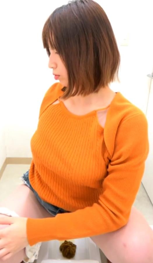 Voyeur Farting and Shitting in the Toilet トイレでオナラとウンコをする盗撮 - BFSR-683 (FullHD 1920x1080)