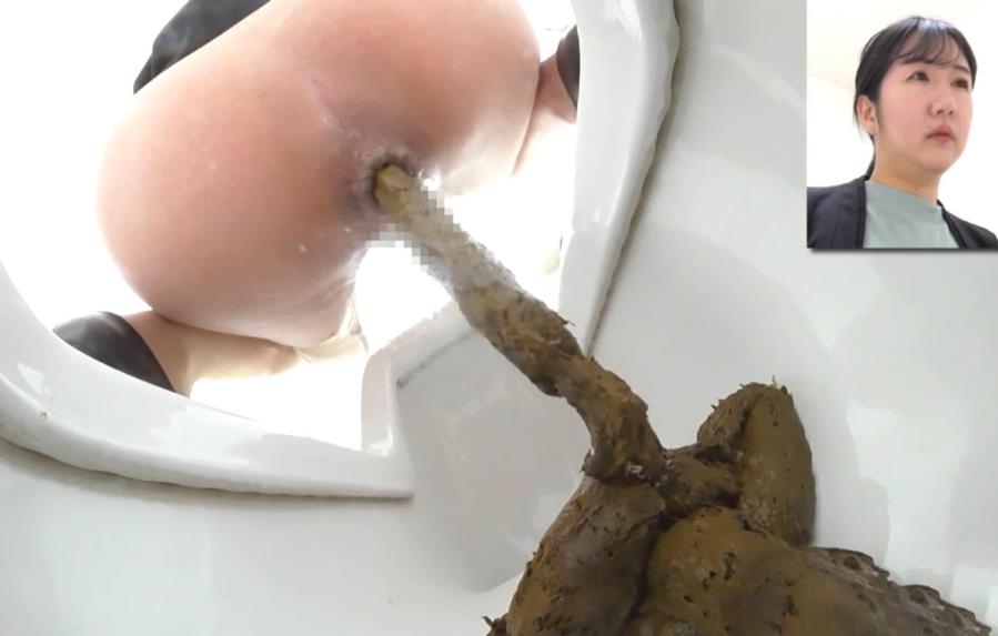 Shit on Western and Japanese Style Toilets - BFEE-312 (FullHD 1920x1080)